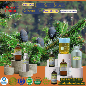 Tinh Dầu Lãnh Sam - Nhựa Thơm - Fir Balsam Essential Oil 1 lít