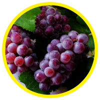 9 Công Dụng Tuyệt Vời Của Dầu Hạt Nho - Grape Seed