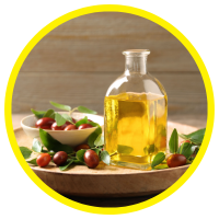 10 Công Dụng Kỳ Diệu Của Dầu Jojoba - Jojoba Oil